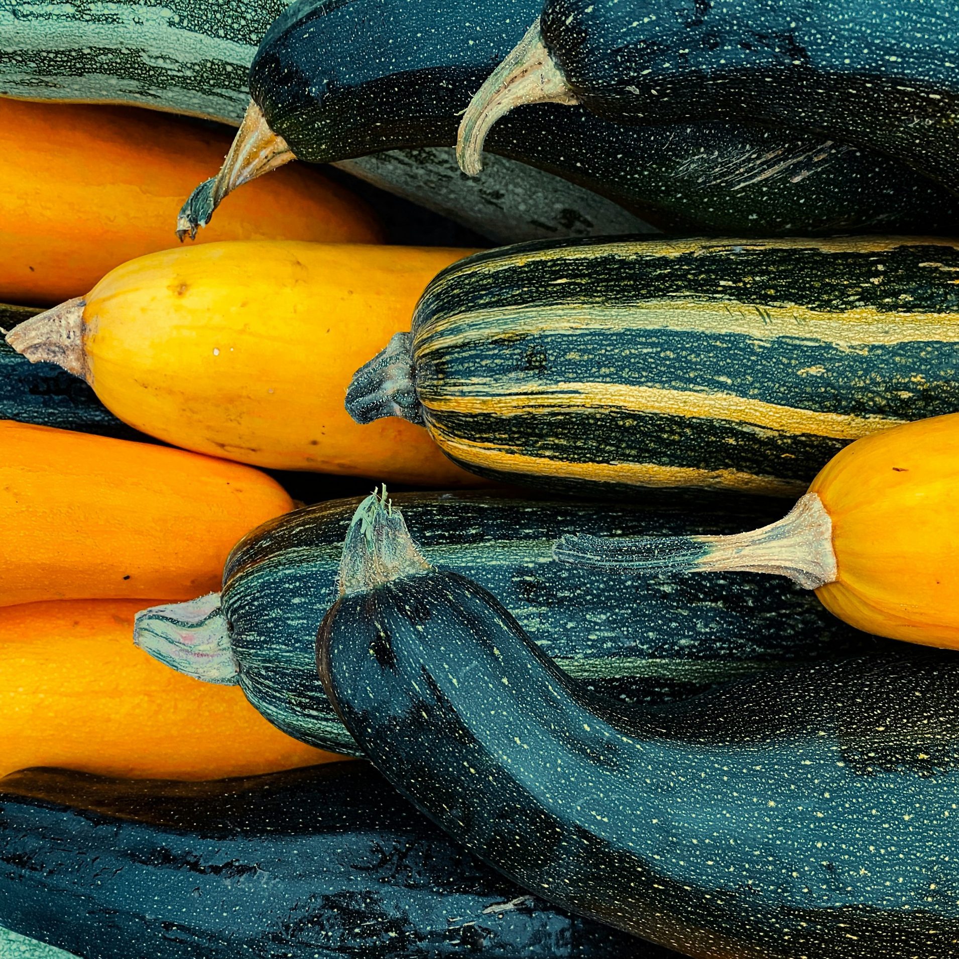 eugene golovesov 3o72hsvigbk unsplash