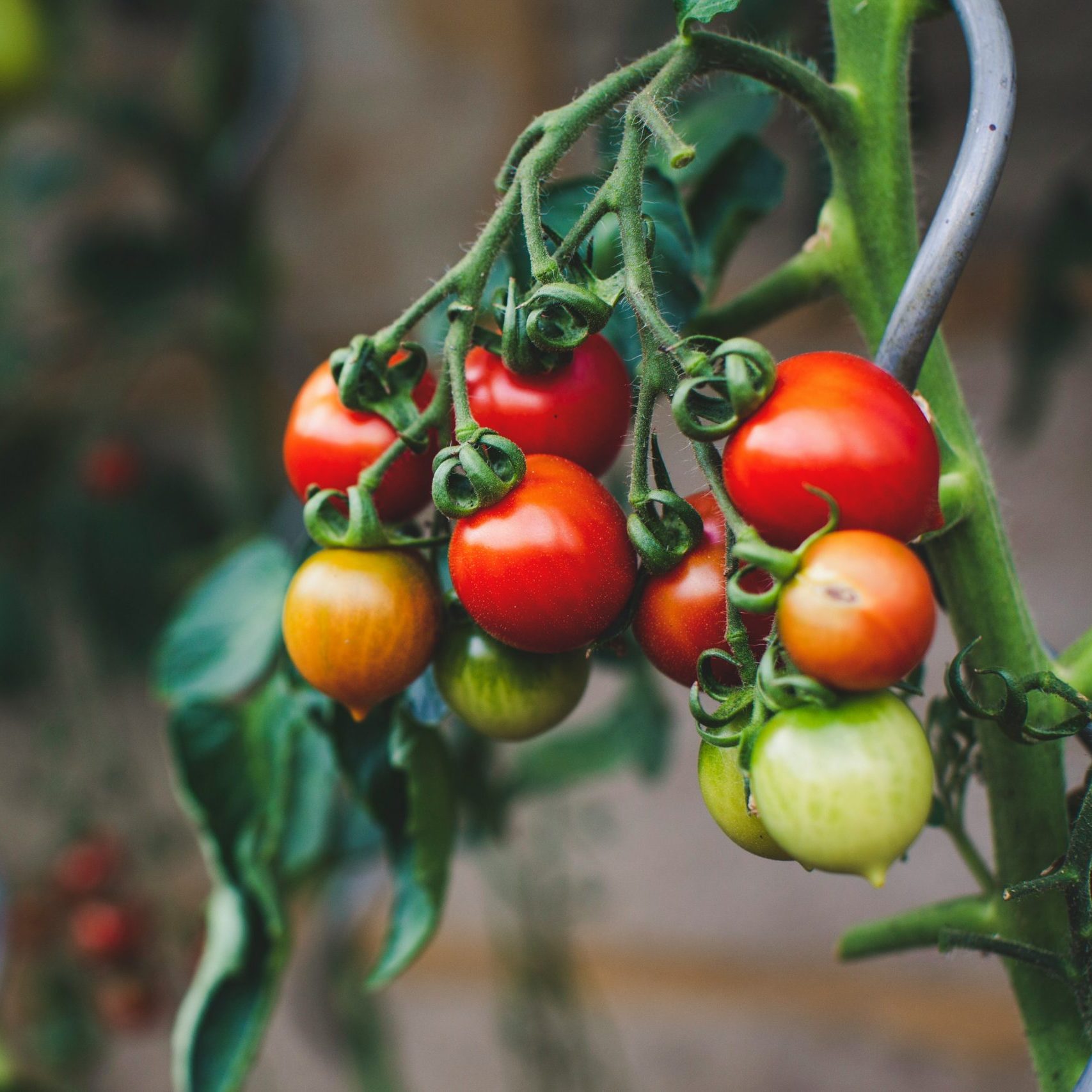 markus spiske 3rgriigbq8q unsplash