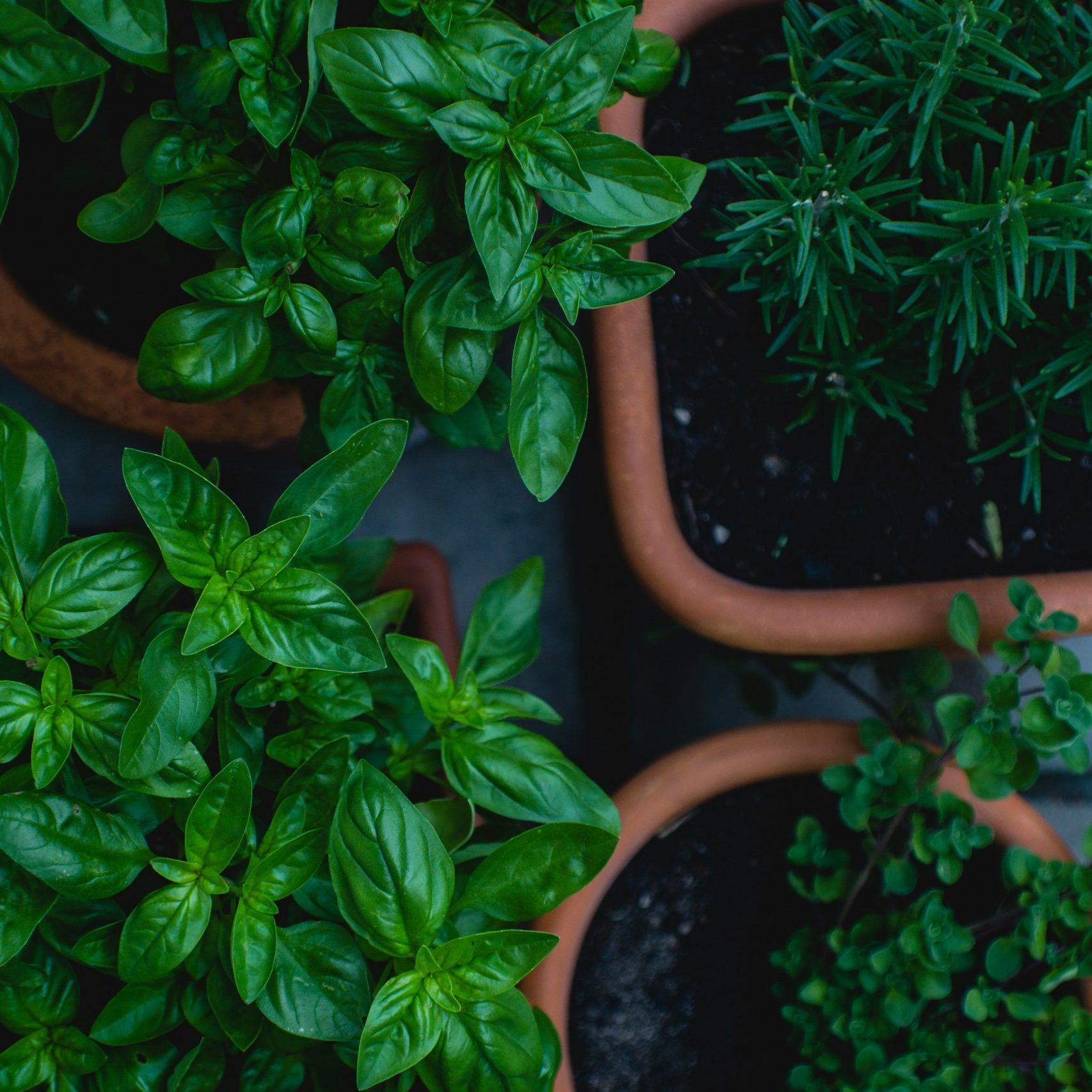 markus spiske 6hddniscrmk unsplash