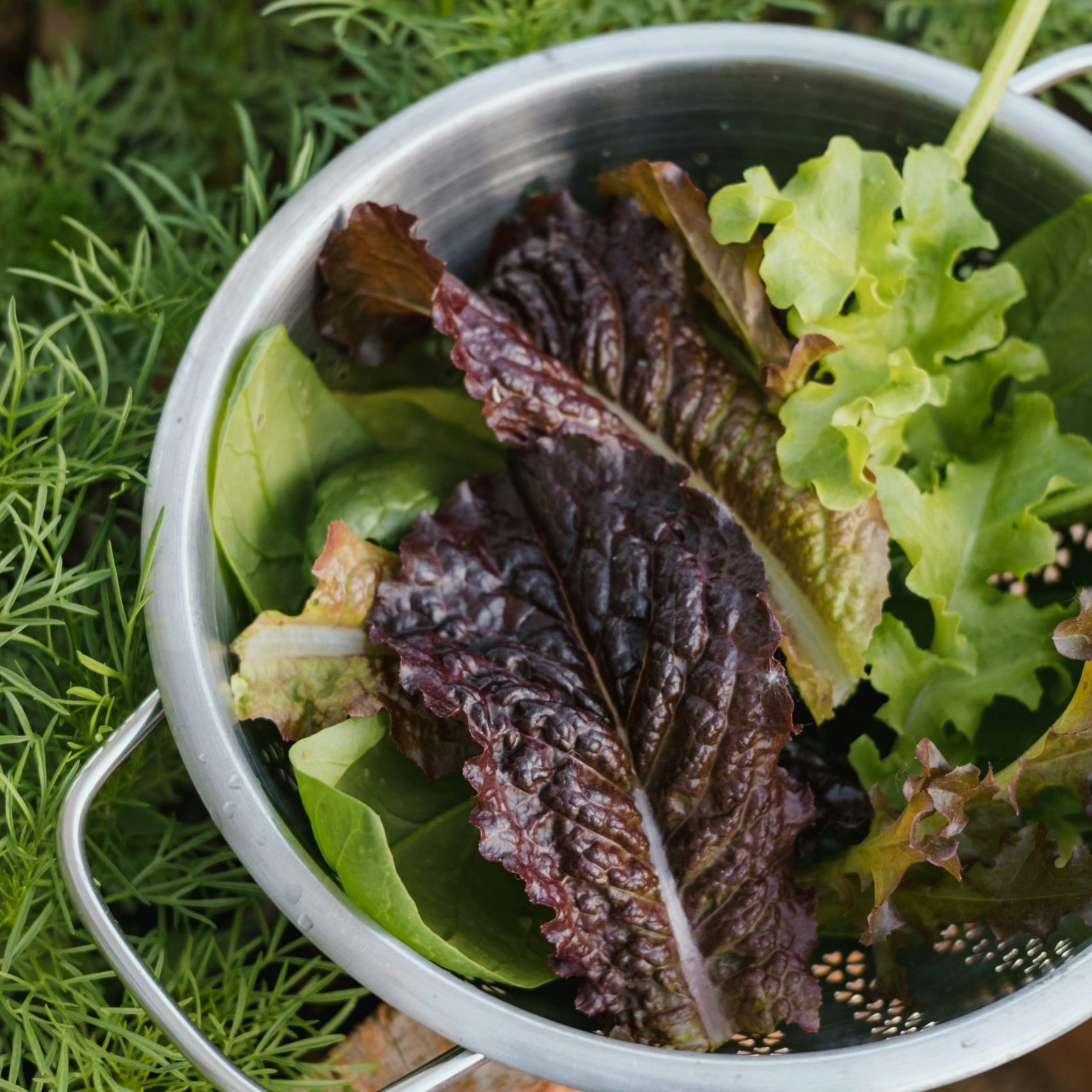 meg macdonald xukr6vfwlje unsplash