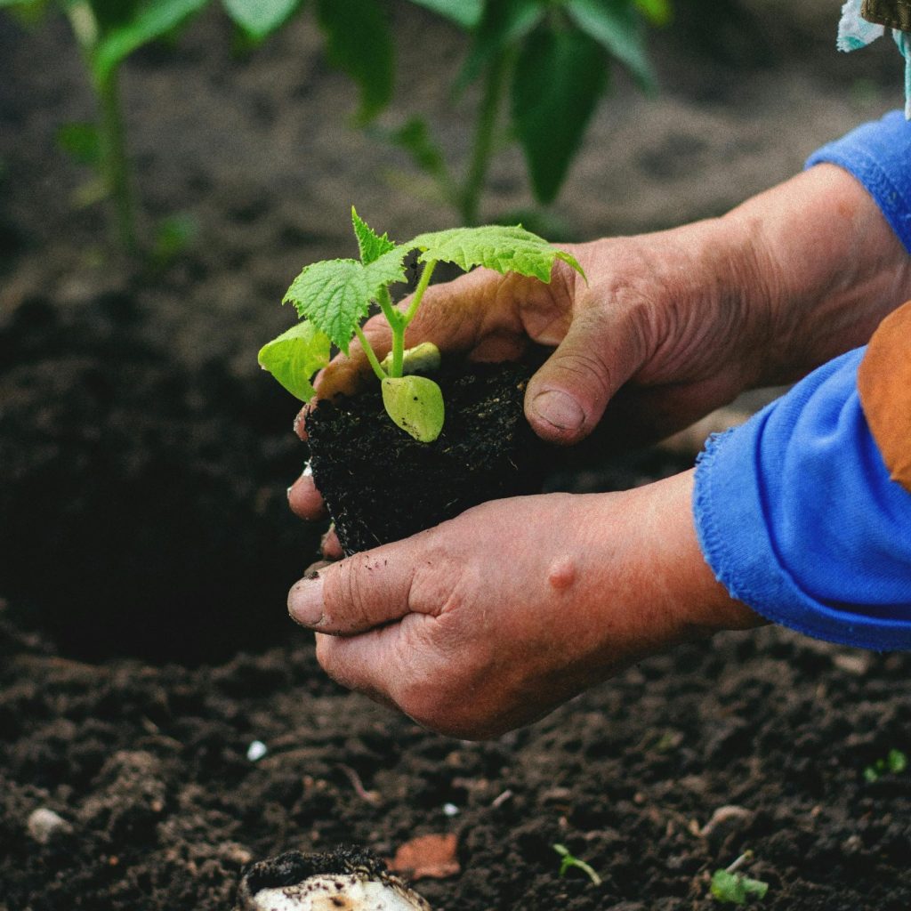 pexels tamara elnova 218645958 12314915